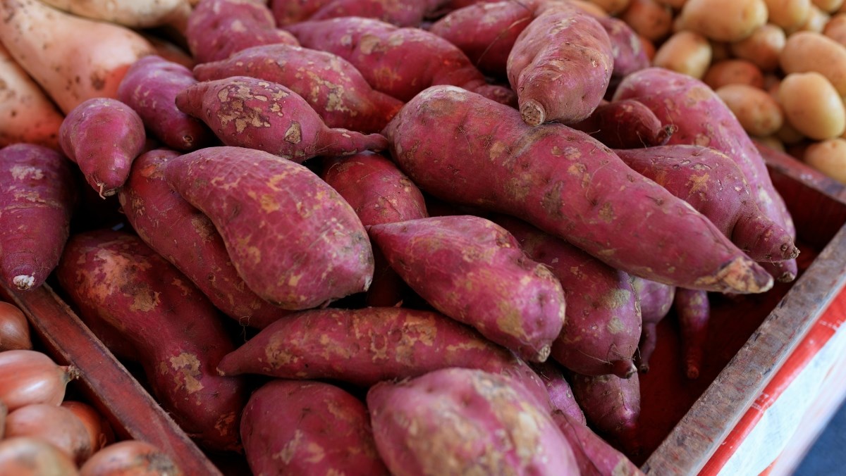 Nguyên liệu món ăn cách làm khoai lang chiên không cần bột, giòn rụm, càng ăn càng ghiền