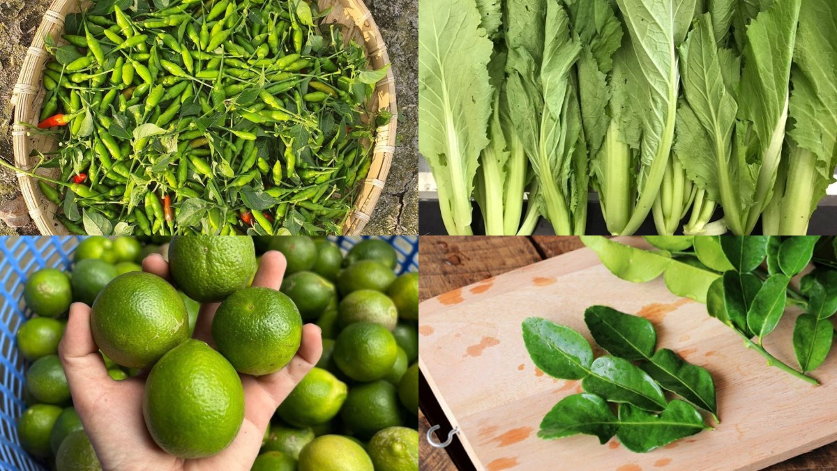 Nguyên liệu món ăn muối chấm gà luộc