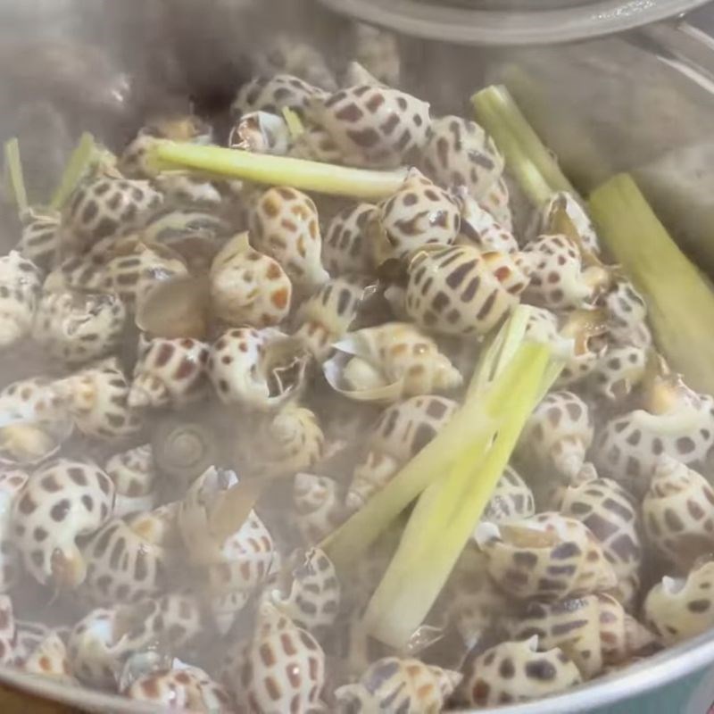 Bước 3 Canh thời gian luộc ốc hương chuẩn xác Ốc hương luộc