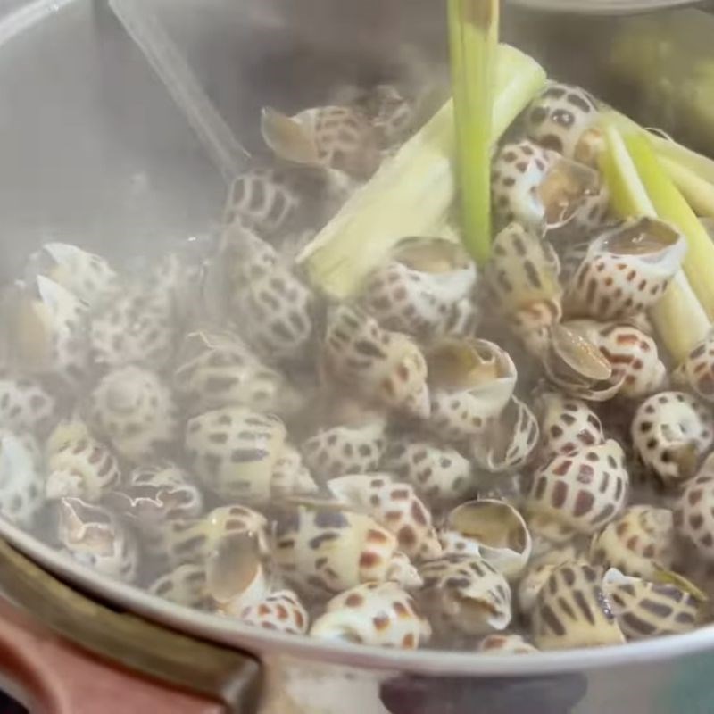 Bước 3 Canh thời gian luộc ốc hương chuẩn xác Ốc hương luộc