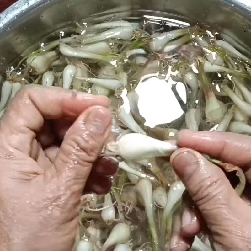 Bước 4 Cắt tỉa và rửa sạch củ kiệu củ kiệu truyền thống