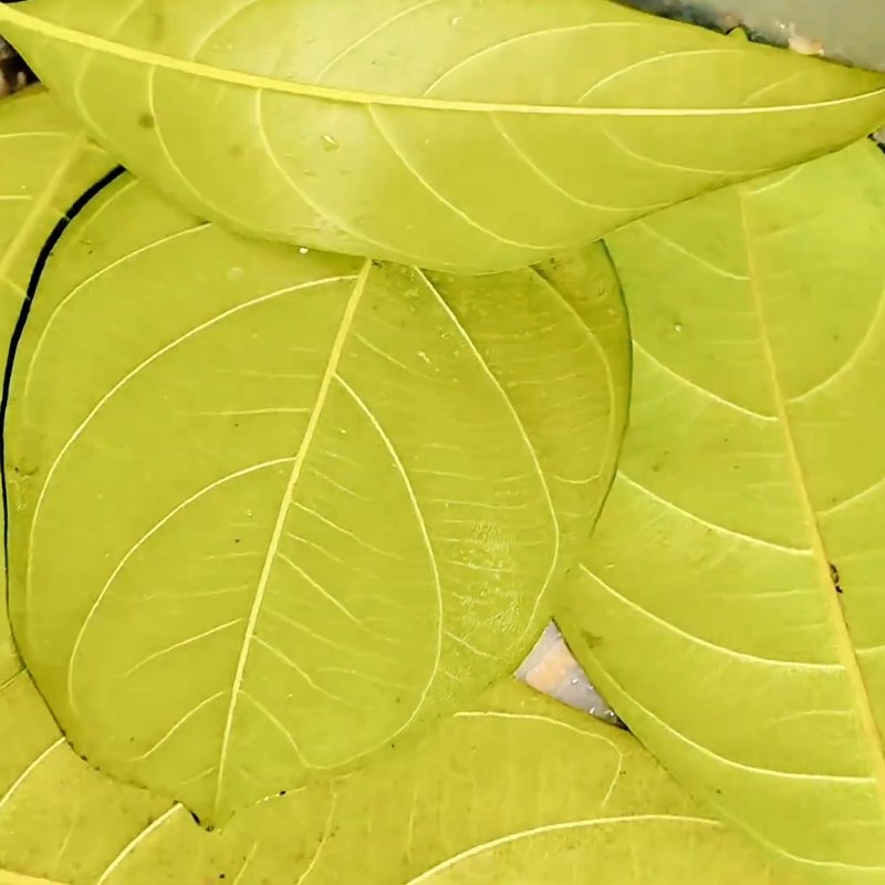 Bước 5 Kho thịt Thịt kho tàu truyền thống