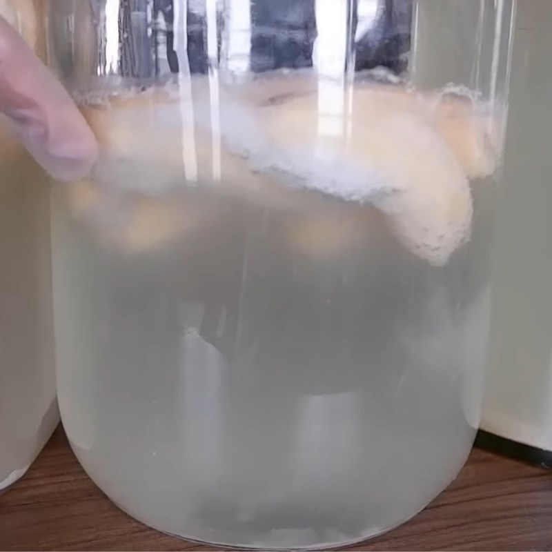 Bước 3 Kiểm tra và thu hoạch giấm Giấm nuôi bằng chuối