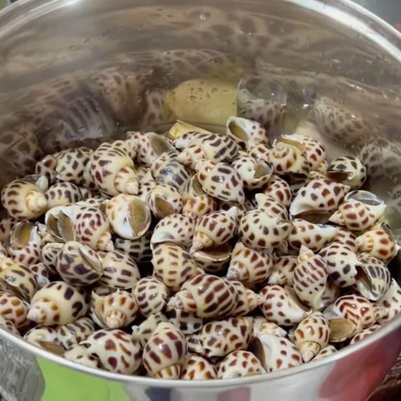 Bước 2 Luộc ốc hương thơm ngon với nước dừa và sả Ốc hương luộc