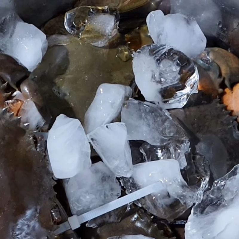 Bước 2 Sơ chế cua Cà Mau Lẩu cua Cà Mau