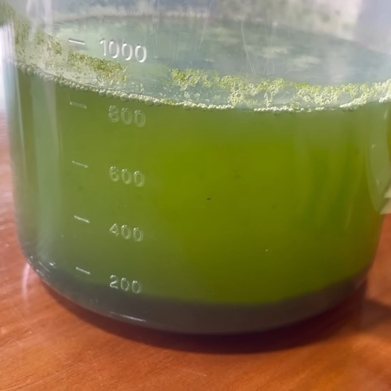 Bước 2 Sơ chế nước lá dứa tạo màu tự nhiên Bánh khoai mì hấp