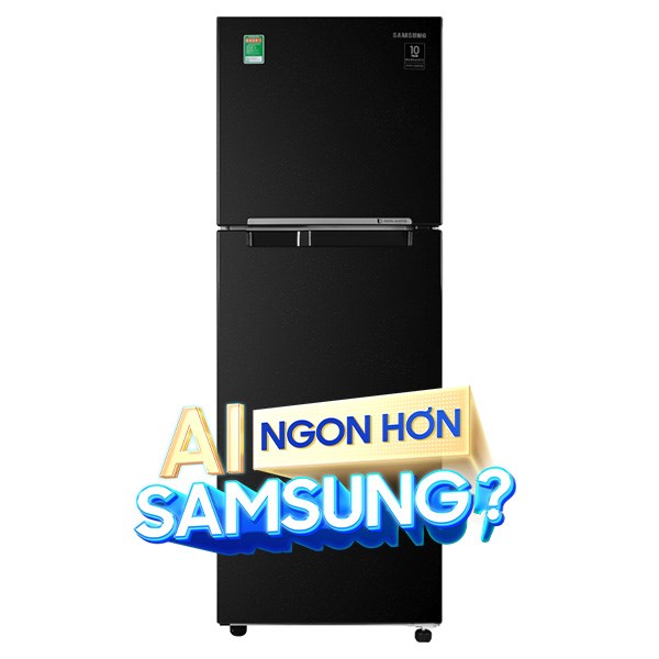 Samsung Inverter 236 lít RT22M4032BU/SV
