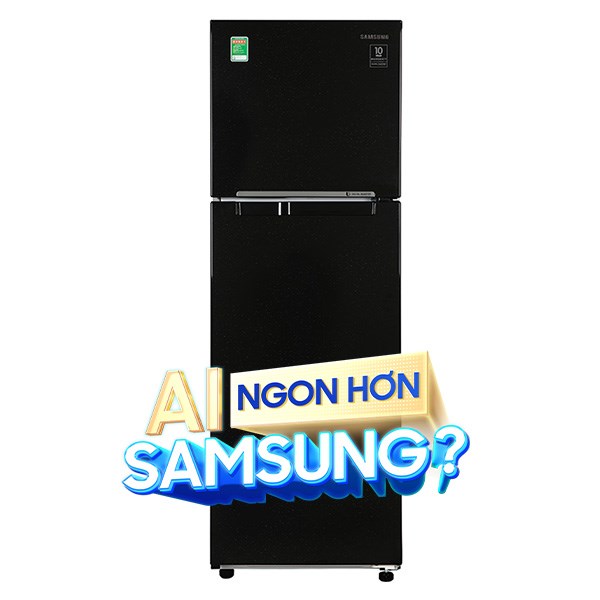 Samsung Inverter 256 lít RT25M4032BU/SV