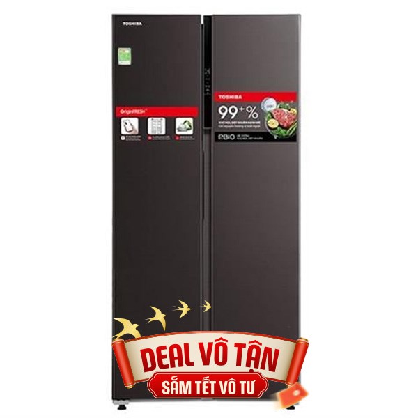 Toshiba Inverter 460 lít GR-RS600WI-PMV(37)-SG