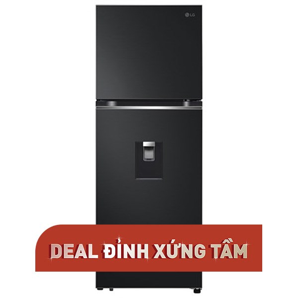 LG Inverter 314 lít LTD31BLM