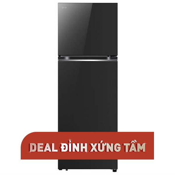 LG Inverter 335 lít LTB33BLG