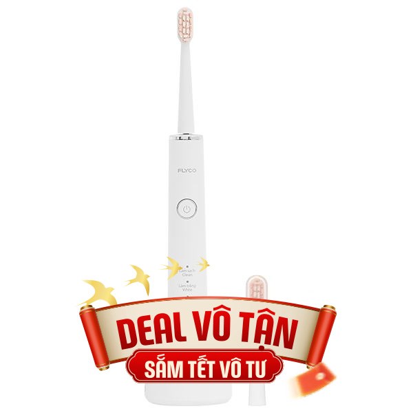 Bàn chải điện Flyco FT7108VN