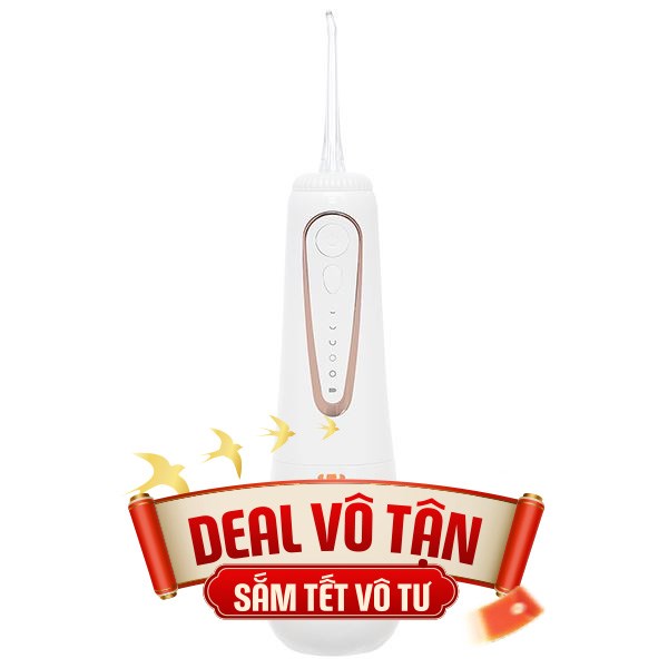 Máy tăm nước cầm tay Hawonkoo WFH-001