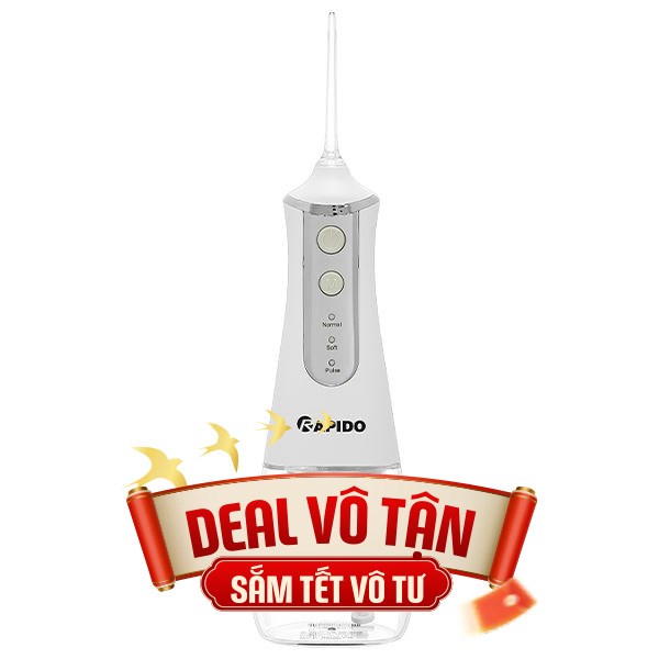 Máy tăm nước cầm tay Rapido RWW-300