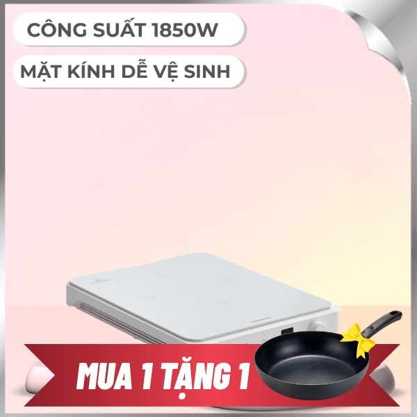 Bếp từ đơn Lock