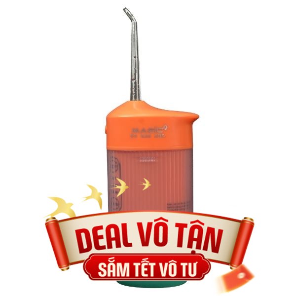Máy tăm nước cầm tay Magic B-01