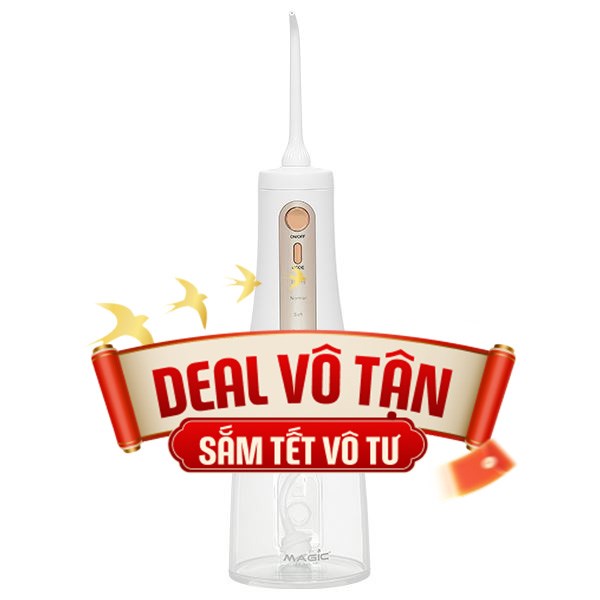 Máy tăm nước cầm tay Magic Eco PRO-82