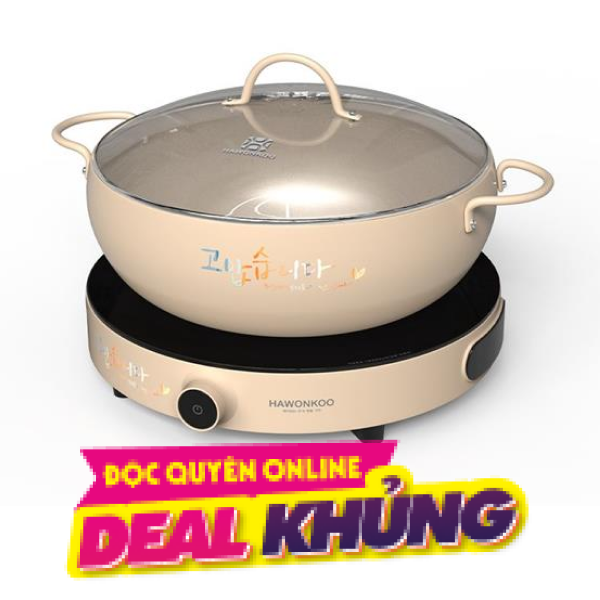 Bếp từ đơn Hawonkoo CEH-101-I-CF 2000W