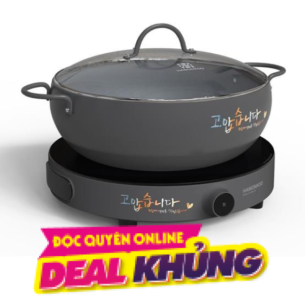 Bếp từ đơn Hawonkoo CEH-101-I-GR 2000W