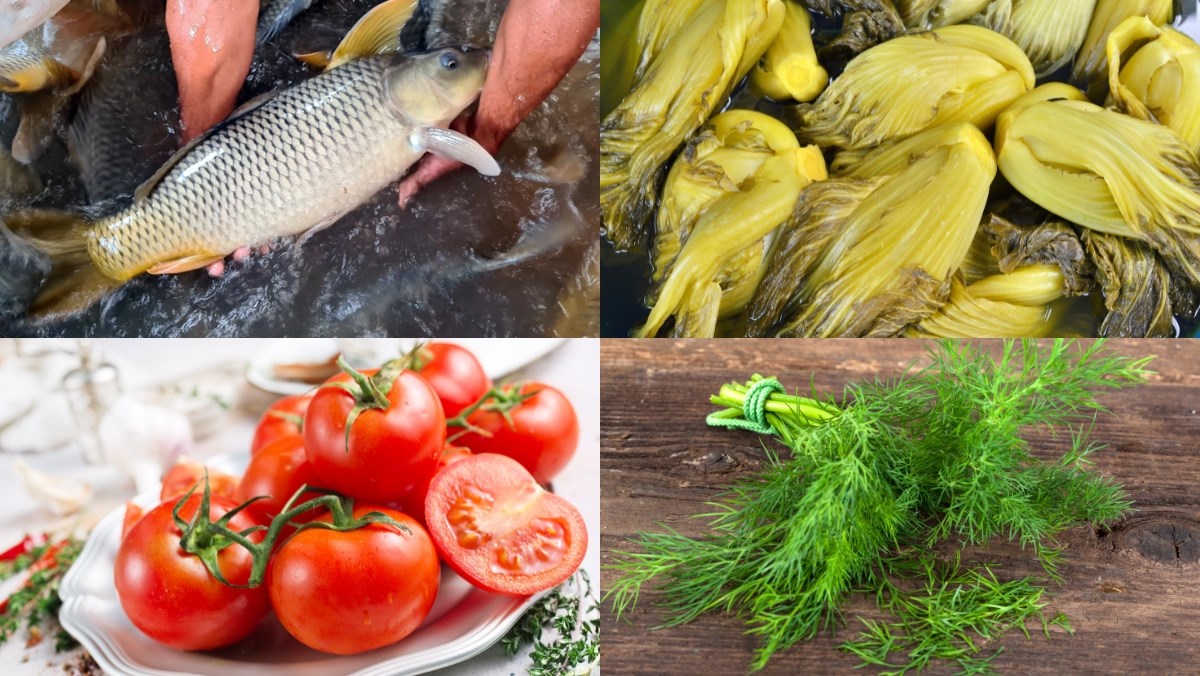 Nguyên liệu món ăn cá chép om dưa hà nội