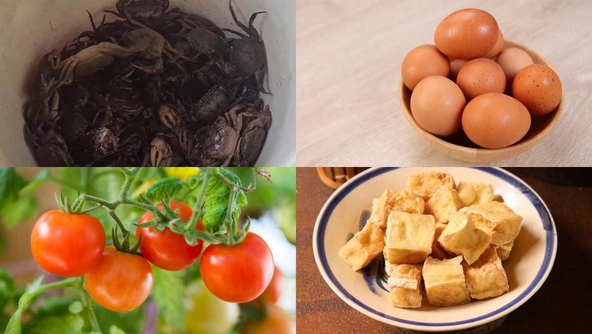 Nguyên liệu món ăn cách làm chả cua bún riêu