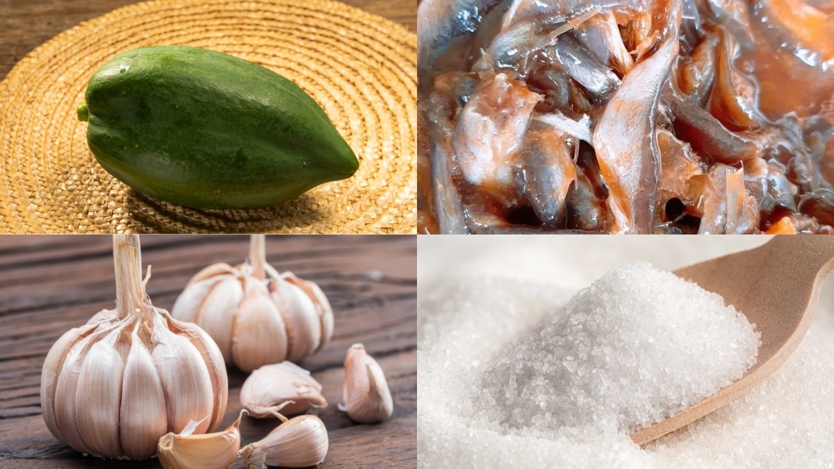 Nguyên liệu món ăn cách làm mắm đu đủ cá linh giòn ngon, chuẩn vị miền tây dễ làm tại nhà