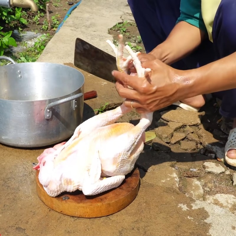 Bước 1 Khử mùi hôi và làm sạch gà Mổ gà cúng