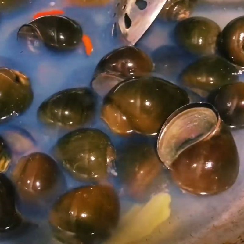 Bước 2 Luộc ốc và lọc nước dùng lẩu ốc