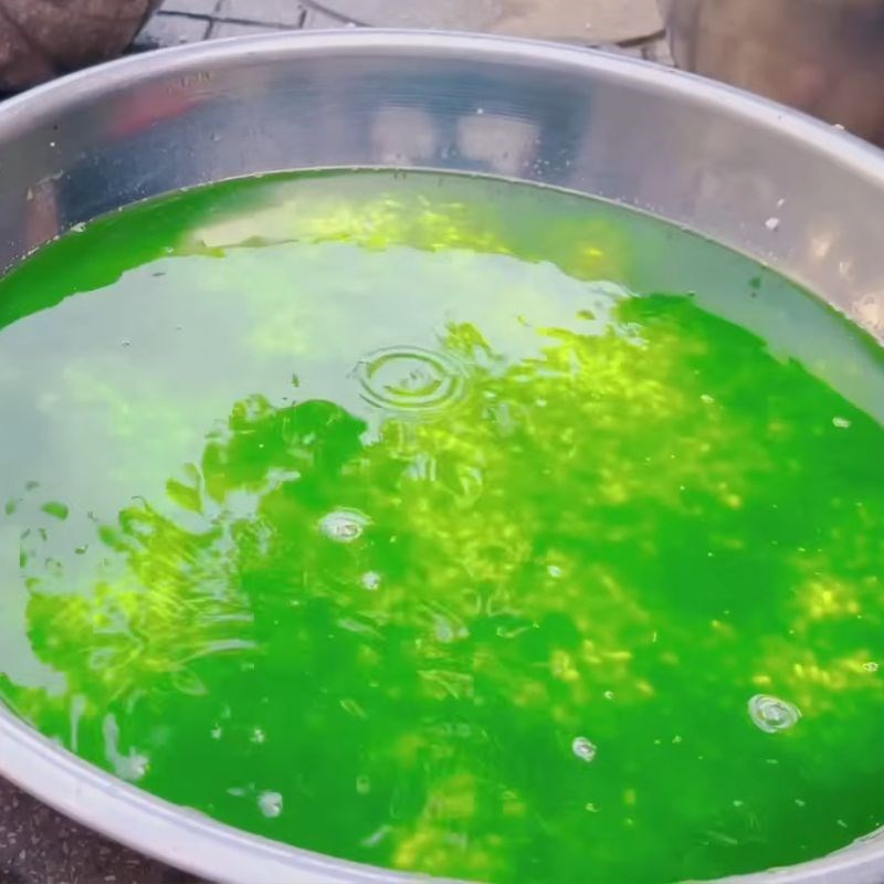 Bước 3 Ngâm gạo nếp tạo màu xanh cho bánh chưng bánh chưng xanh bằng lá riềng