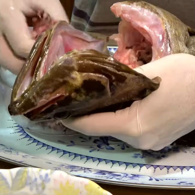 Bước 2 Nhồi thịt và ướp cá bống mú cá bống mú hấp hồng kông