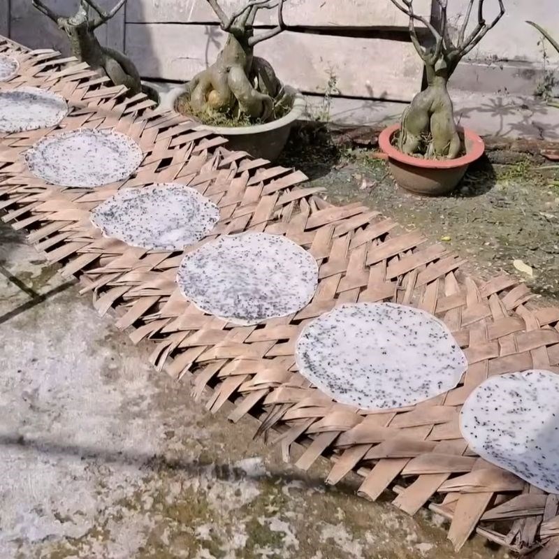 Bước 3 Phơi khô bánh tráng Bánh tráng nước dừa