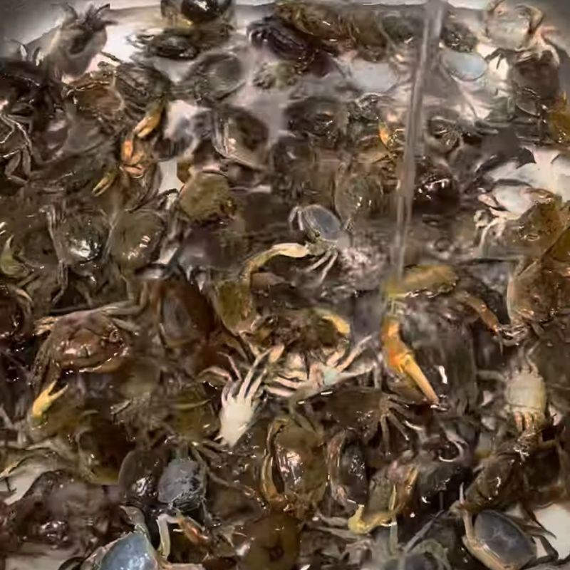 Bước 1 Sơ chế cua đồng cua rang lá lốt