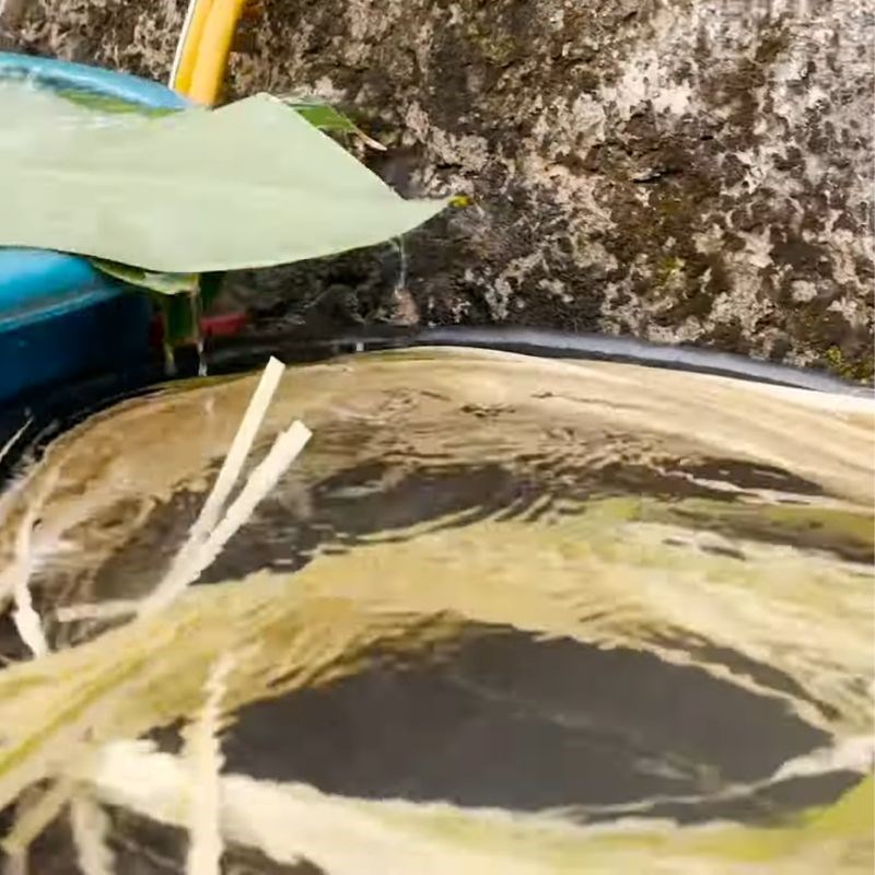 Bước 1 Sơ chế dong trước khi gói bánh chưng cách gói bánh chưng bằng lá dong