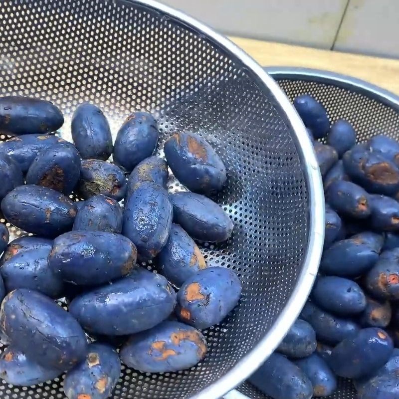 Bước 1 Sơ chế quả cọ tươi cọ ỏm