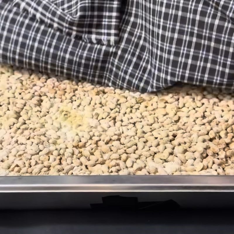 Bước 6 Ủ đậu nành lên men nước tương truyền thống