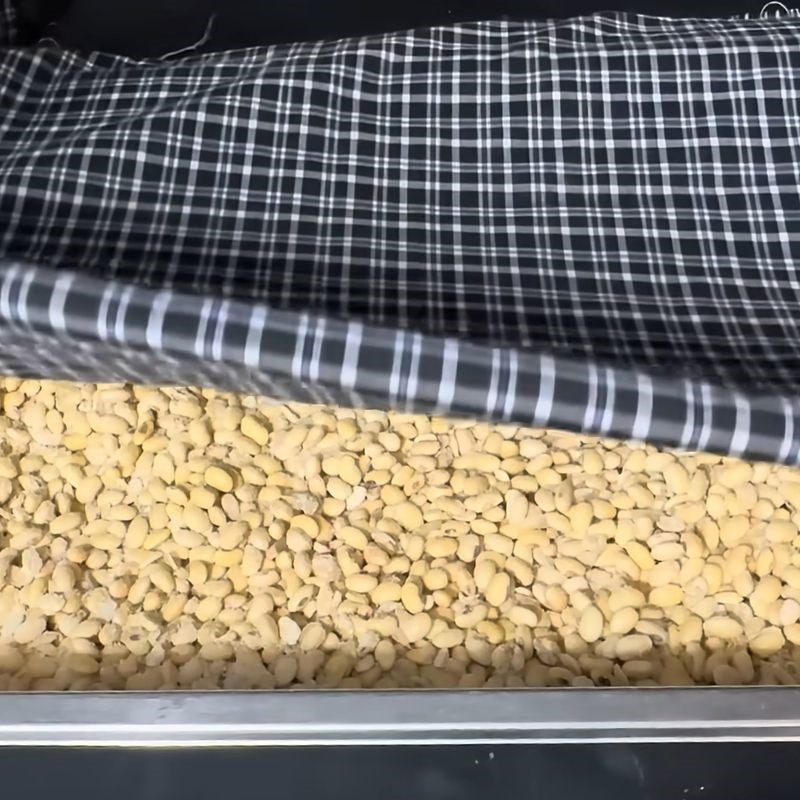 Bước 6 Ủ đậu nành lên men nước tương truyền thống