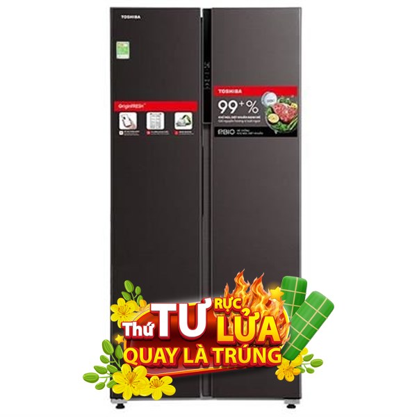 Toshiba Inverter 460 lít GR-RS600WI-PMV(37)-SG