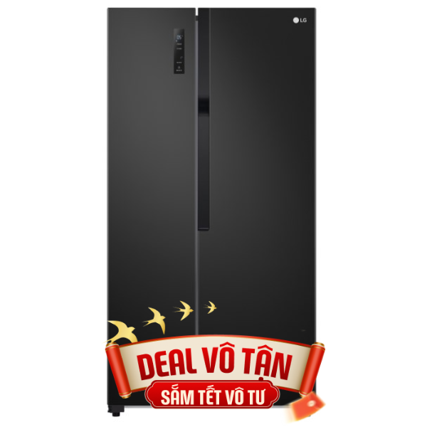 LG Inverter 519 lít GR-B256BL