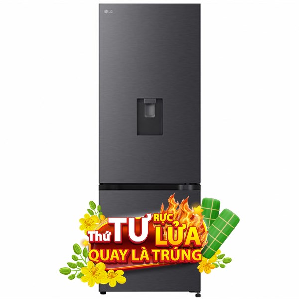LG Inverter 332 lít LBD33BLM