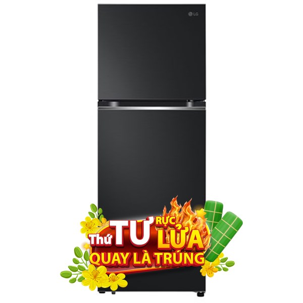 LG Inverter 315 lít LTB31BLM