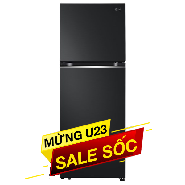 LG Inverter 315 lít LTB31BLM