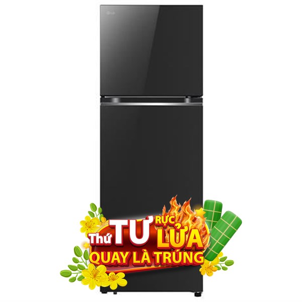 LG Inverter 335 lít LTB33BLG