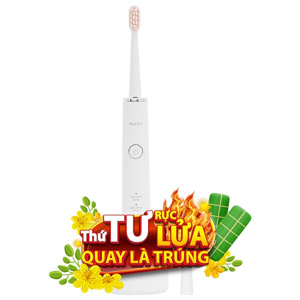 Bàn chải điện Flyco FT7108VN