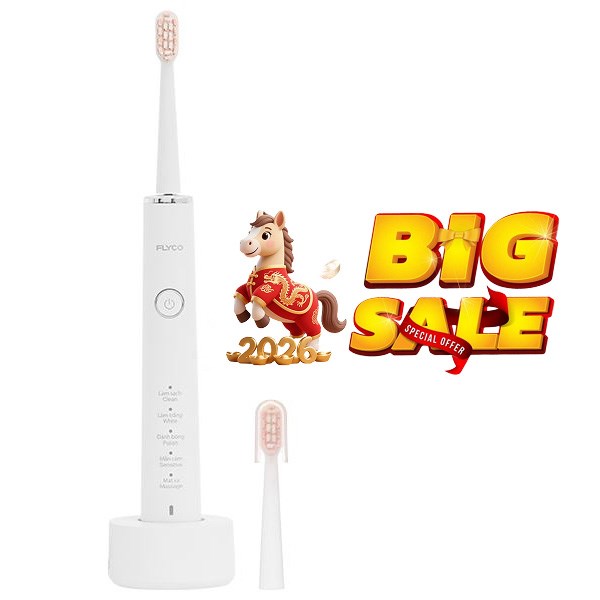 Bàn chải điện Flyco FT7108VN