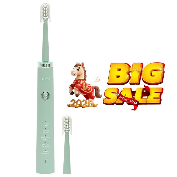Bàn chải điện Flyco FT1701VN