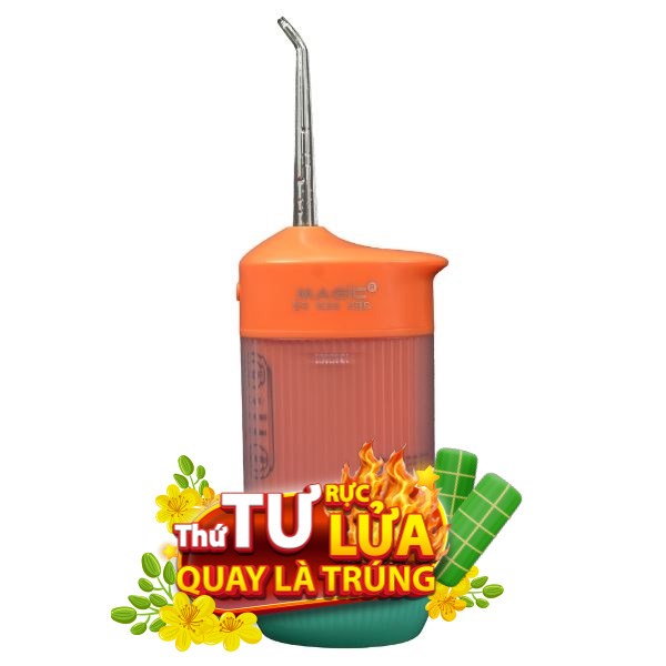 Máy tăm nước cầm tay Magic B-01
