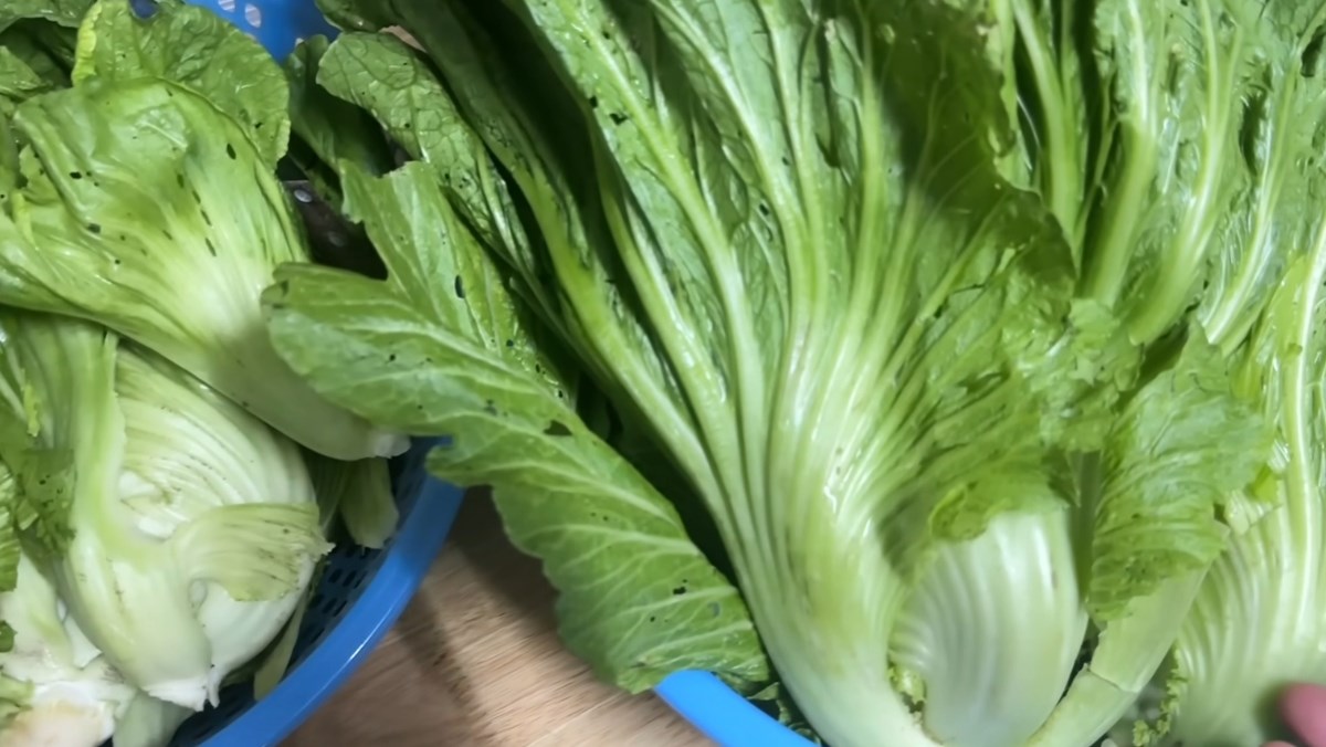Nguyên liệu món ăn bí quyết cách muối dưa cải không cần phơi giòn ngon, vàng ruộm cực đơn giản