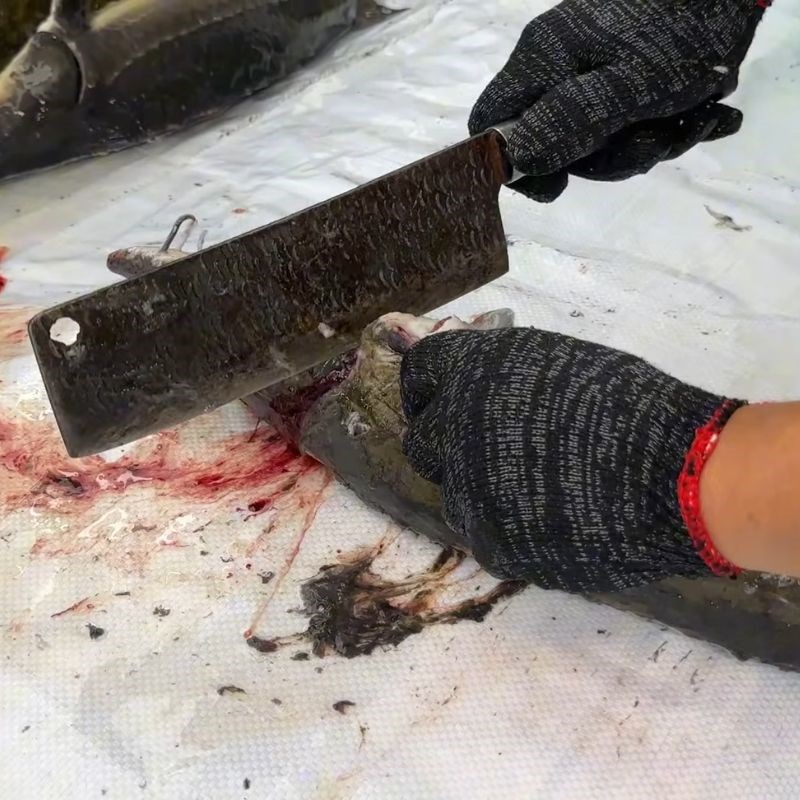 Bước 3 Loại bỏ vây và cạo sạch phần còn lại cá tầm