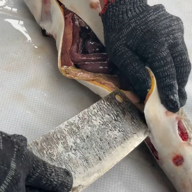 Bước 4 Mổ bụng và làm sạch nội tạng cá tầm