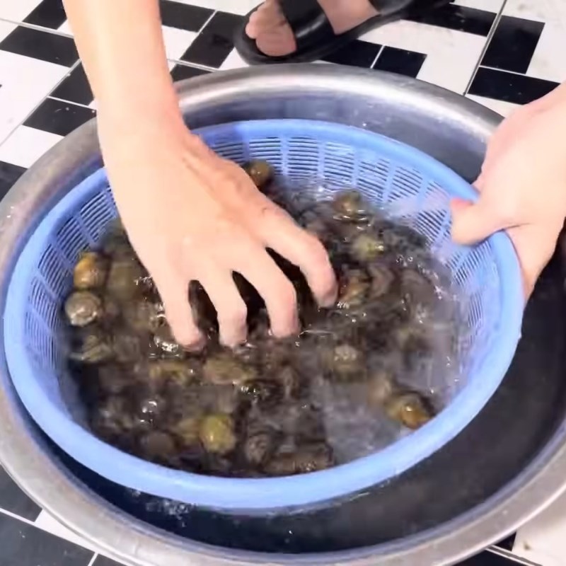 Bước 2 Ngâm ốc mít sạch nhớt Ốc mít luộc